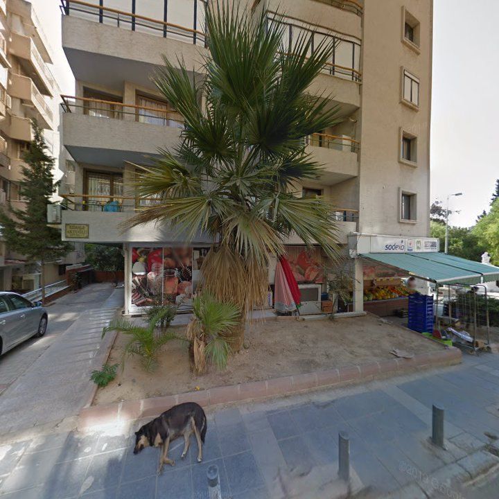 Fotoğraf 11