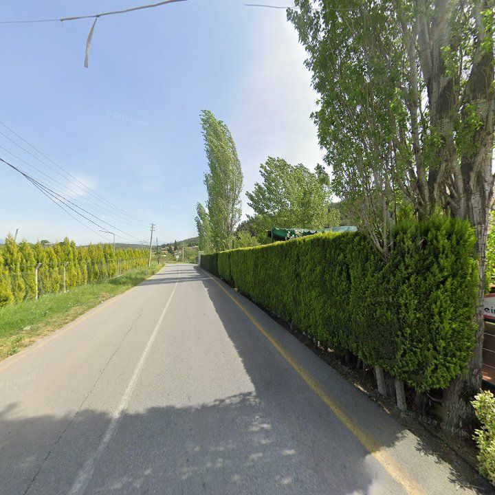Fotoğraf 11