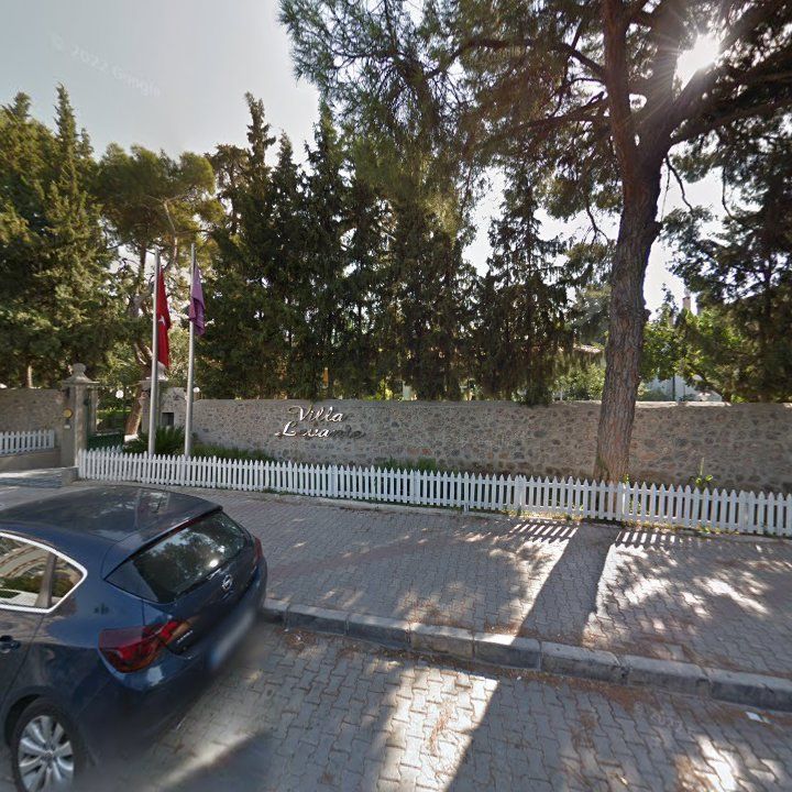 Fotoğraf 7