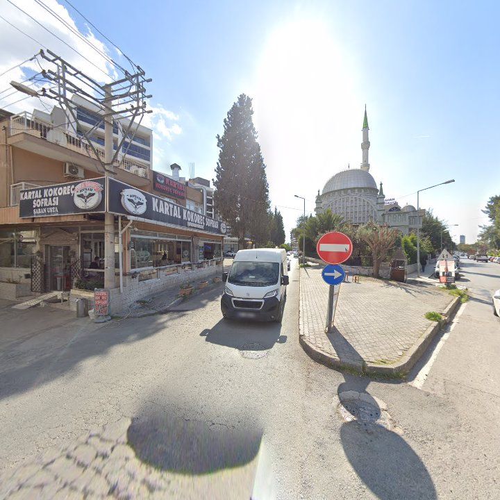 Fotoğraf 11