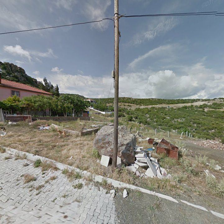 Fotoğraf 8