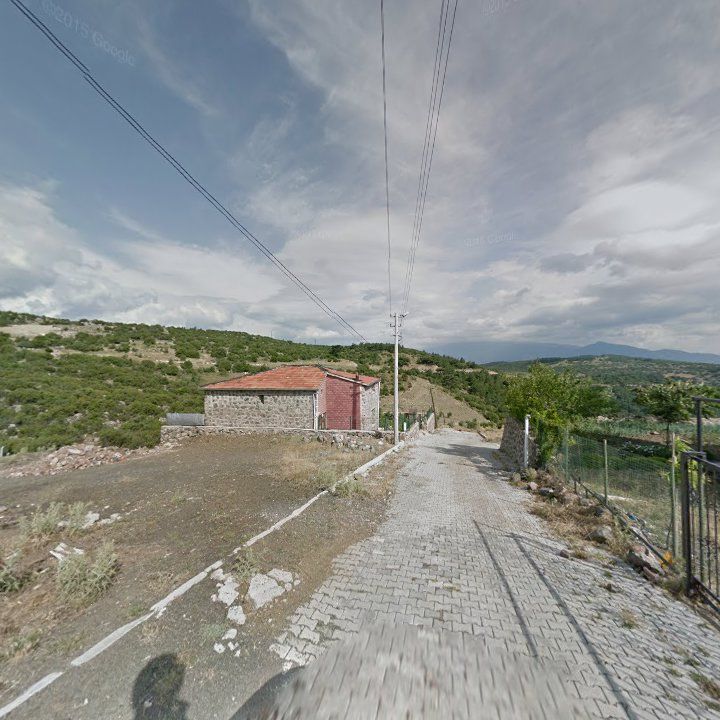 Fotoğraf 9