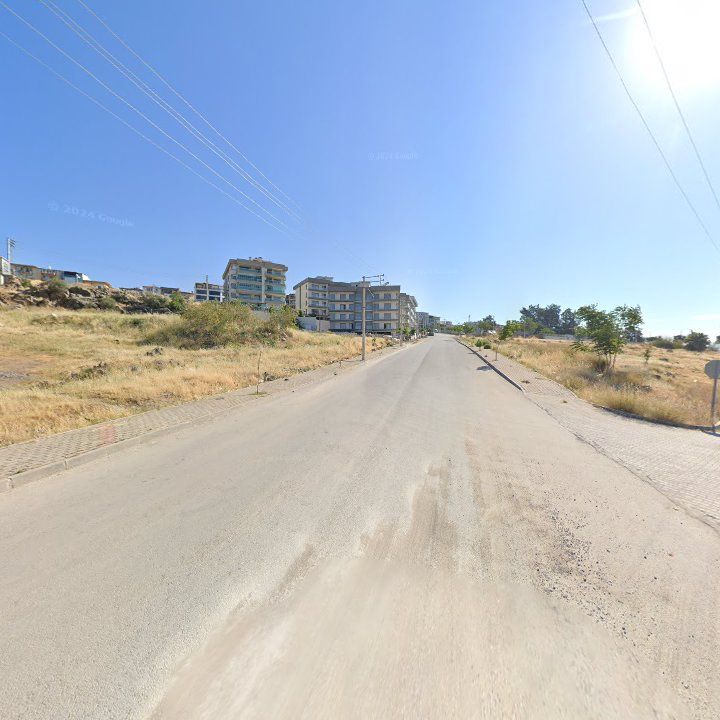 Fotoğraf 9