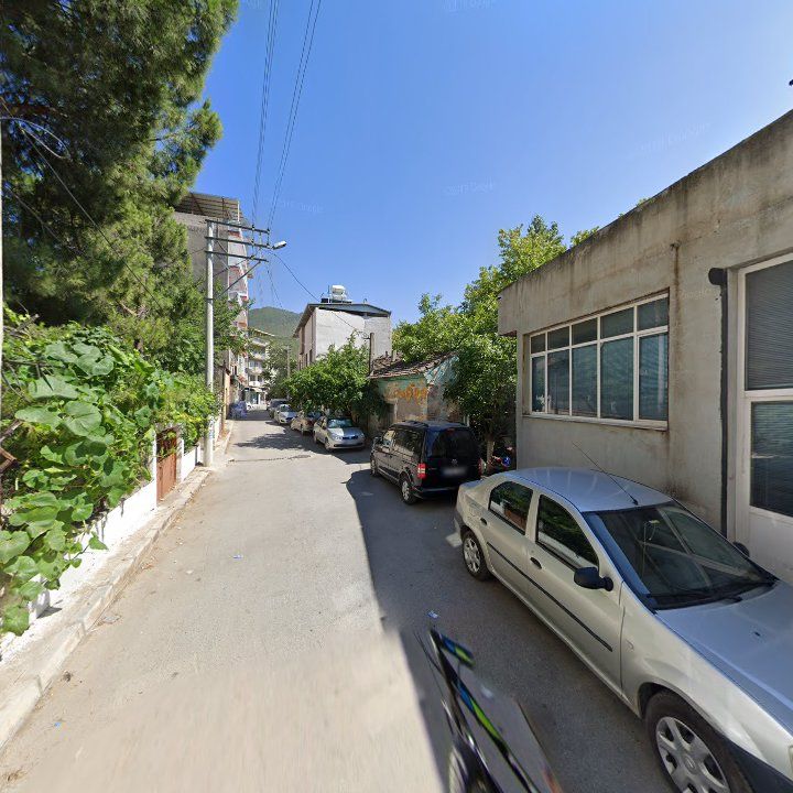 Fotoğraf 9