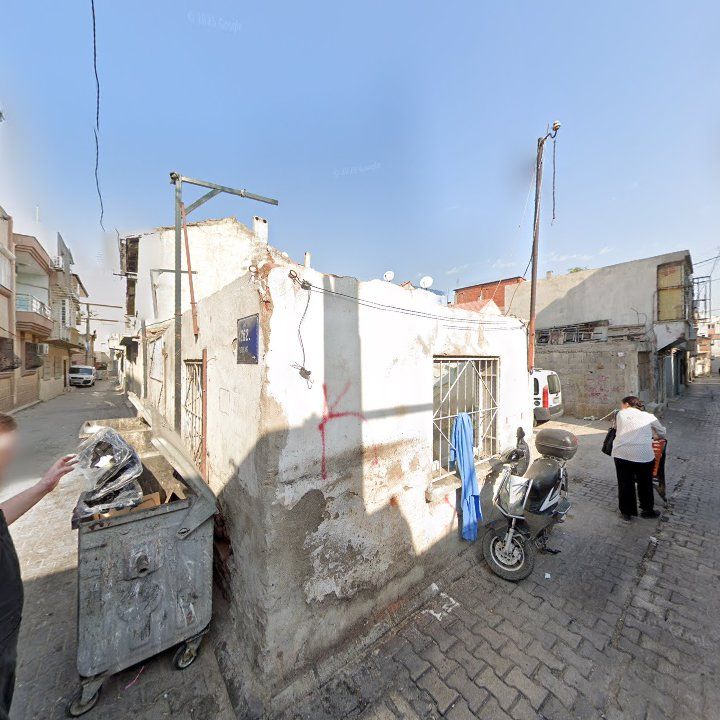 Fotoğraf 7