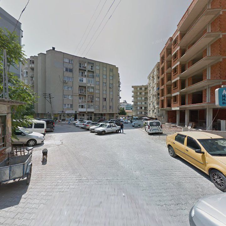 Fotoğraf 5