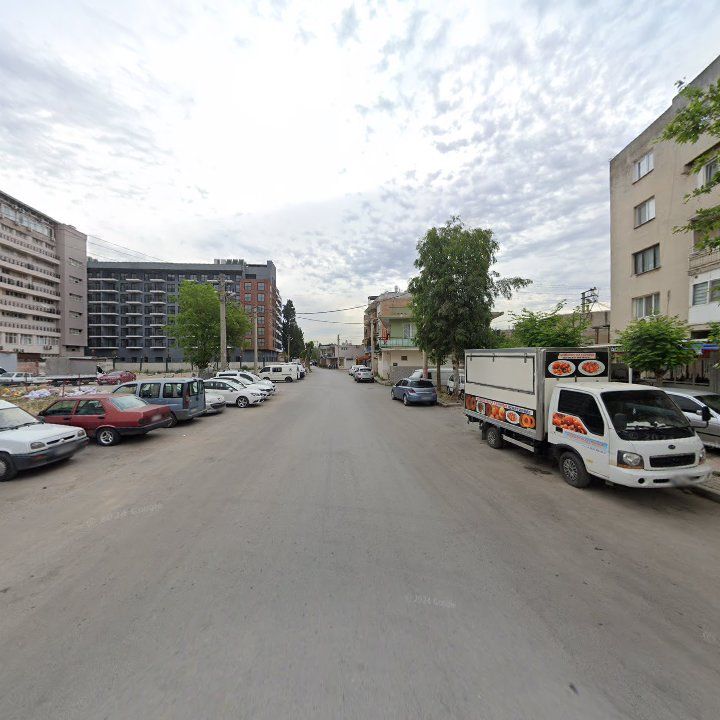 Fotoğraf 11