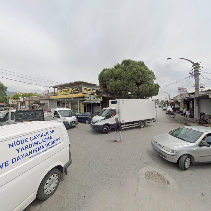 Fotoğraf 7