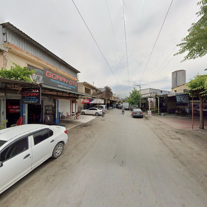 Fotoğraf 7