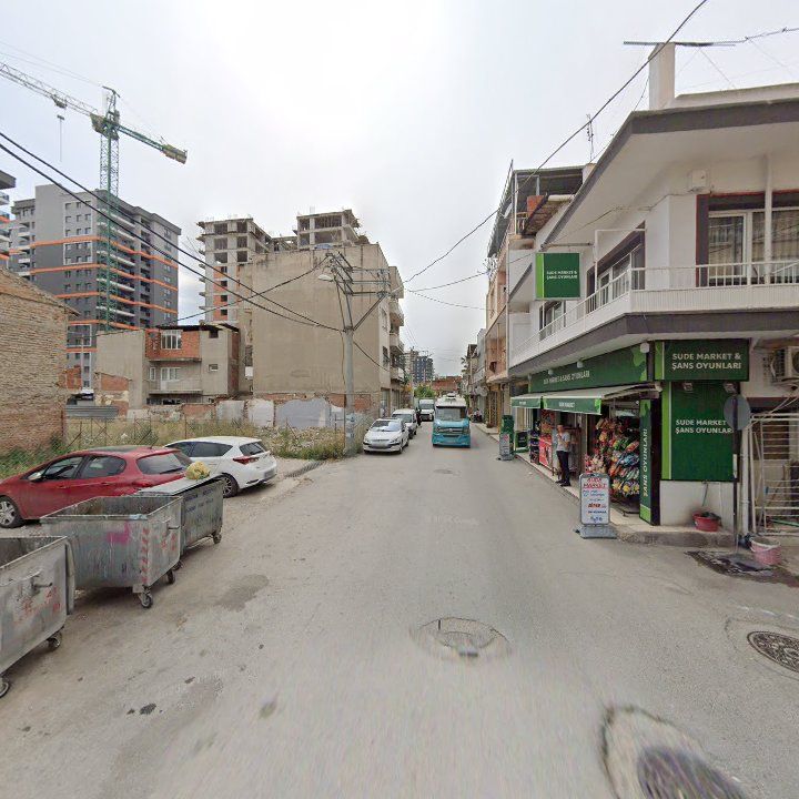 Fotoğraf 11