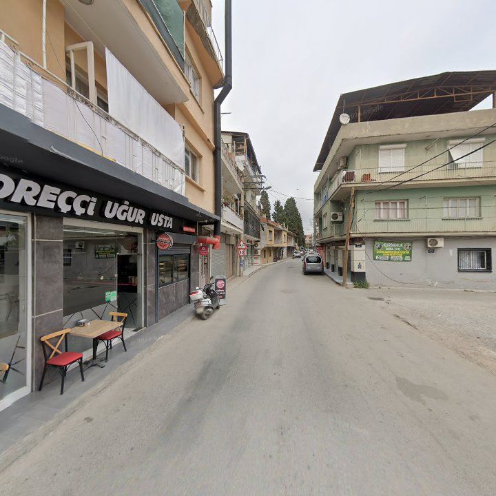 Fotoğraf 9