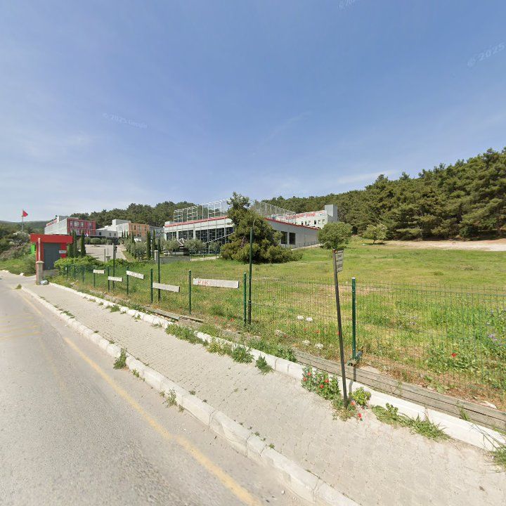 Fotoğraf 7