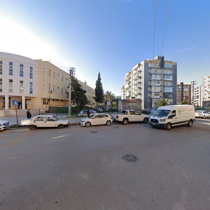 Fotoğraf 10