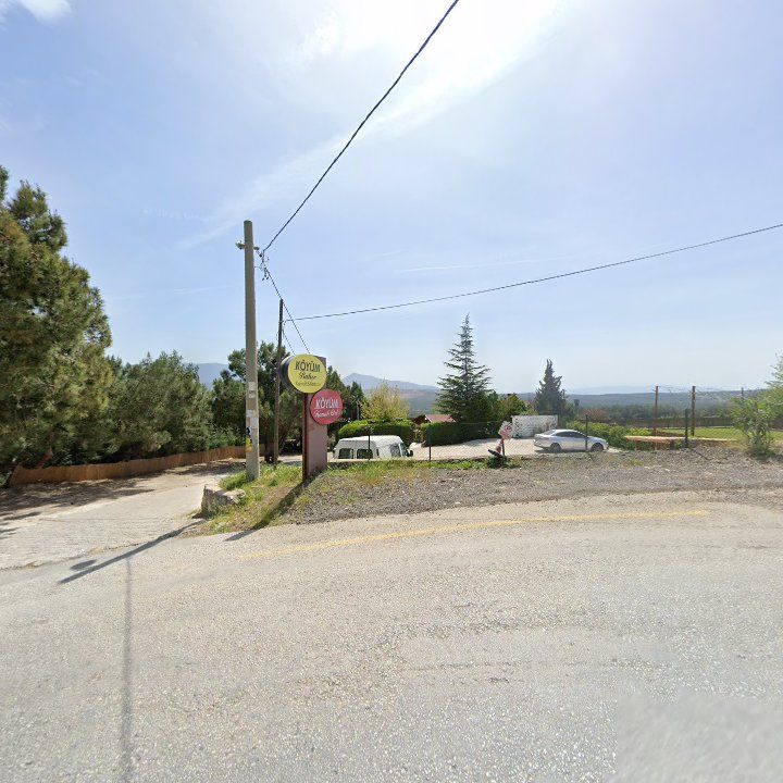 Fotoğraf 9
