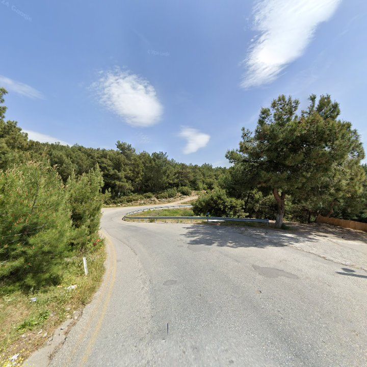 Fotoğraf 12