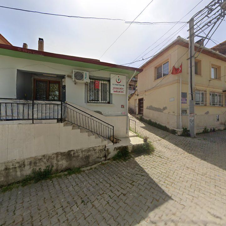 Fotoğraf 10
