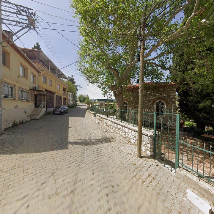 Fotoğraf 11