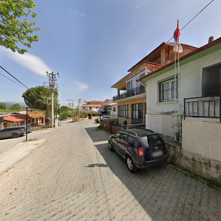 Fotoğraf 9