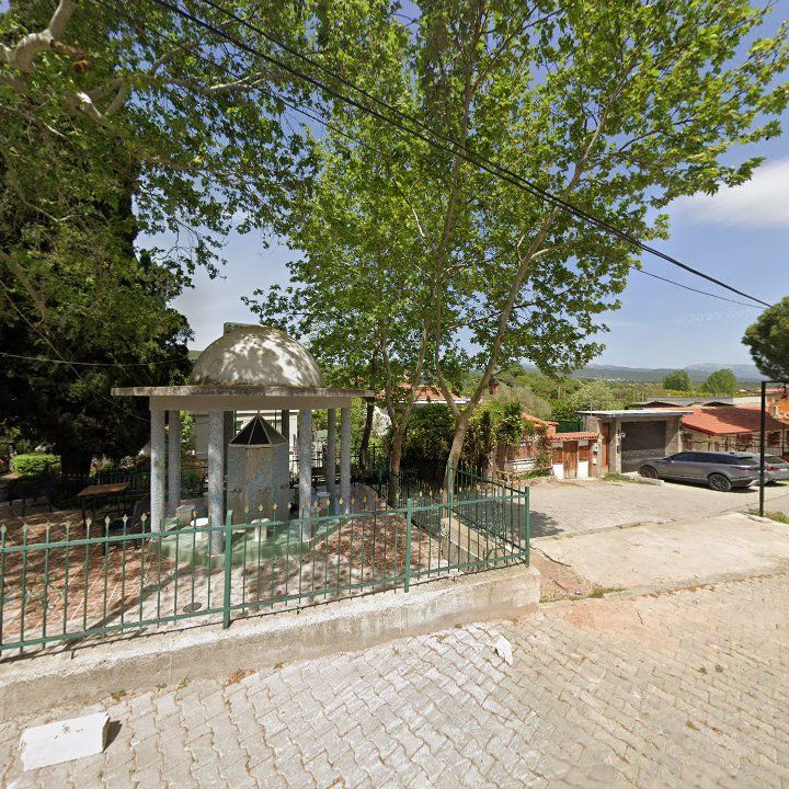 Fotoğraf 8