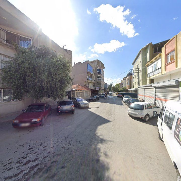 Fotoğraf 7