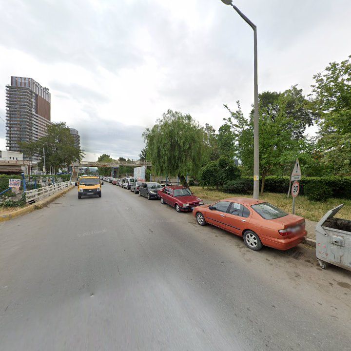 Fotoğraf 11