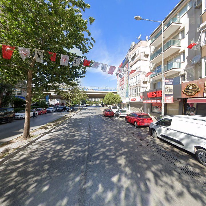 Fotoğraf 9