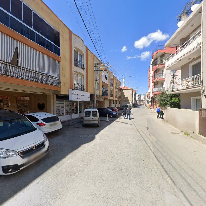 Fotoğraf 8