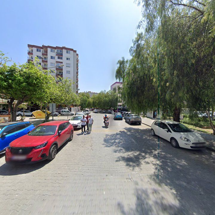 Fotoğraf 7