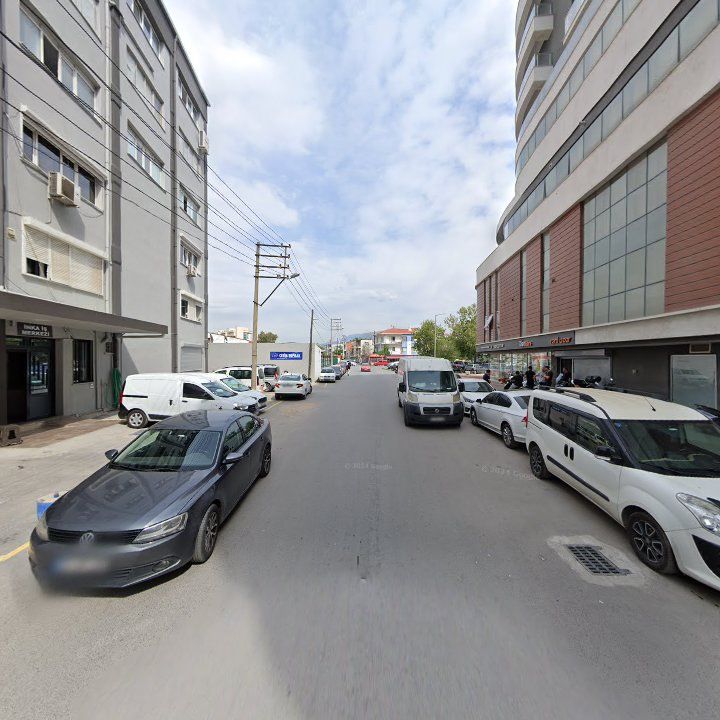 Fotoğraf 11