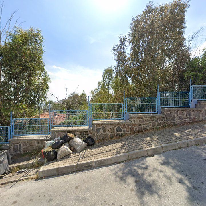 Fotoğraf 7
