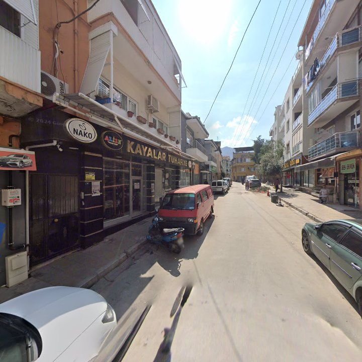 Fotoğraf 8