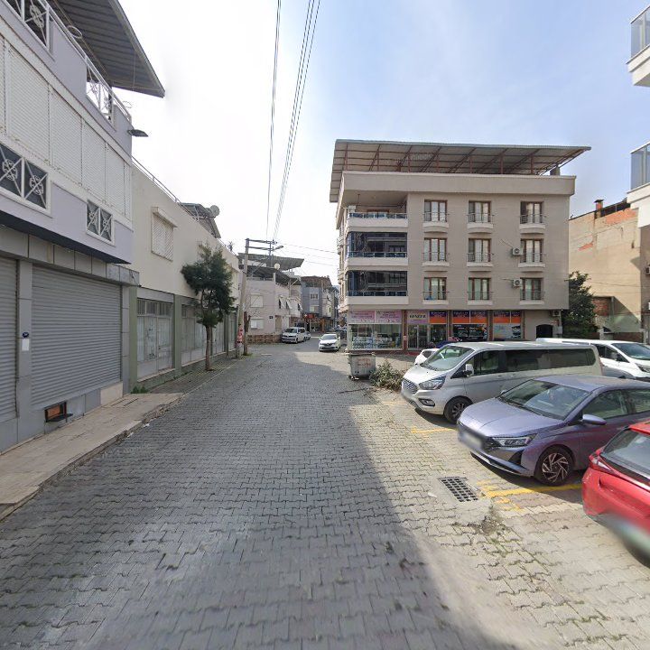 Fotoğraf 12