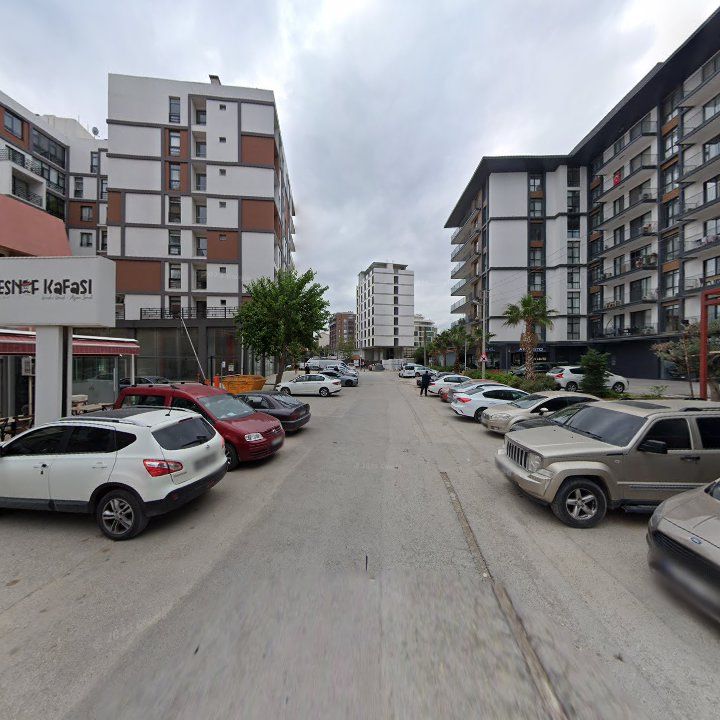 Fotoğraf 8