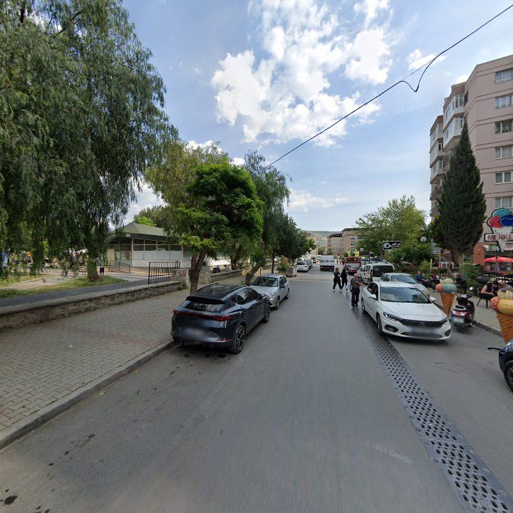 Fotoğraf 8