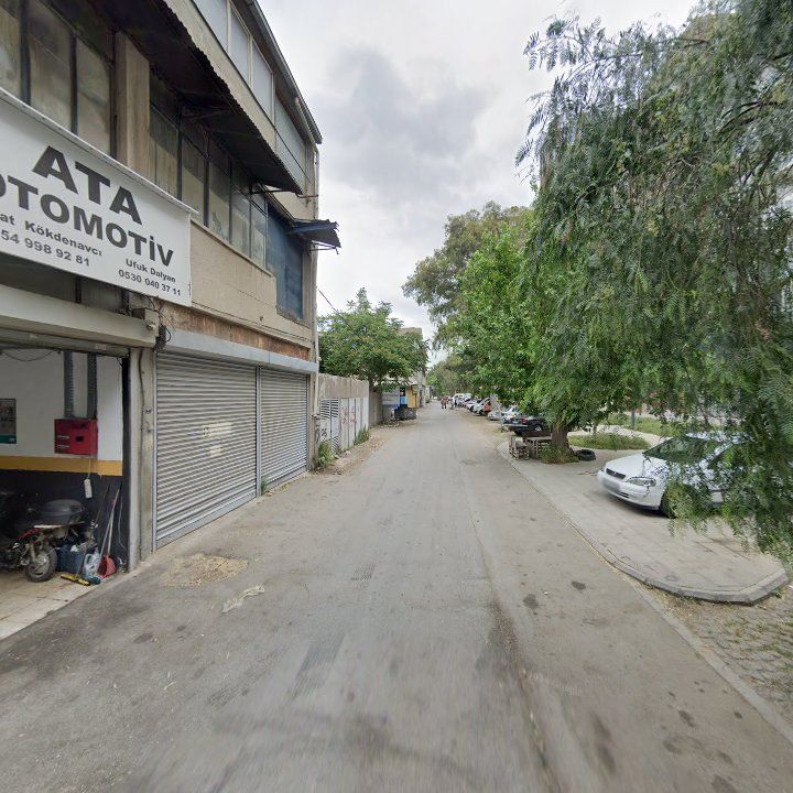 Fotoğraf 11
