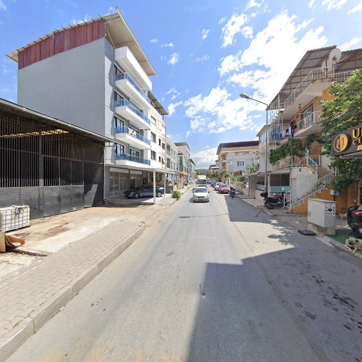 Fotoğraf 7