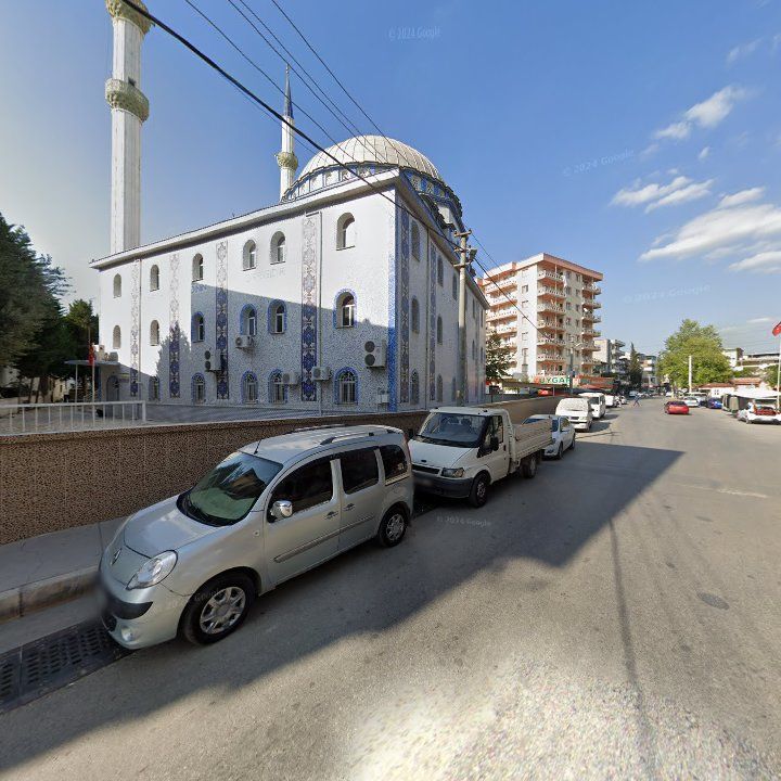 Fotoğraf 8
