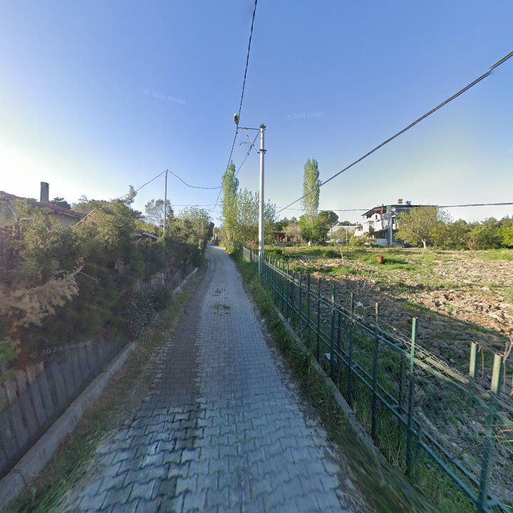 Fotoğraf 7