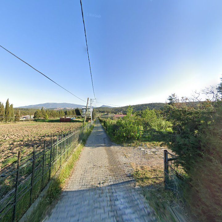 Fotoğraf 9