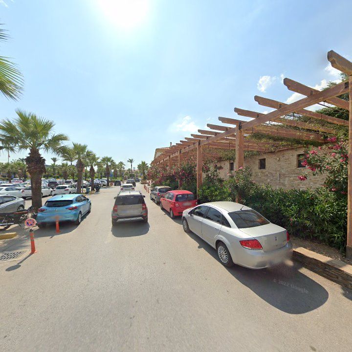 Fotoğraf 11