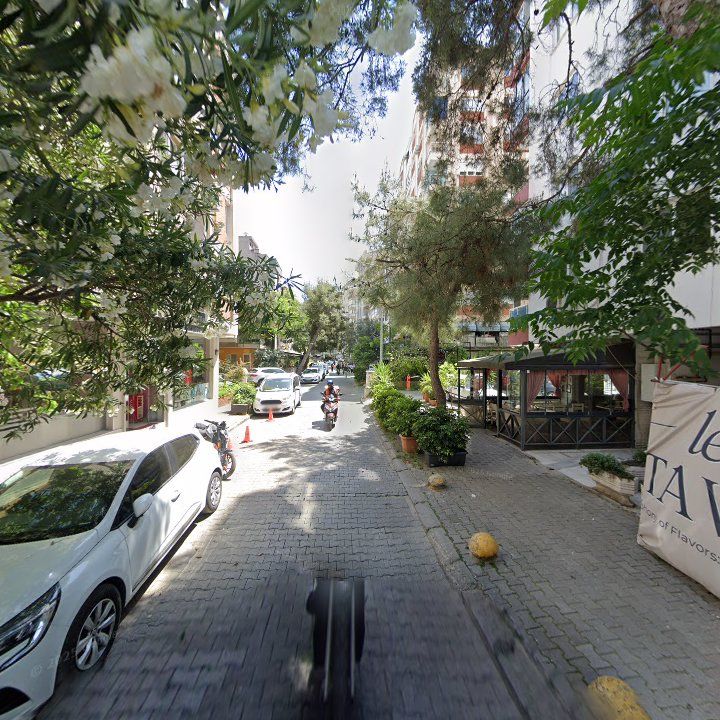 Fotoğraf 8