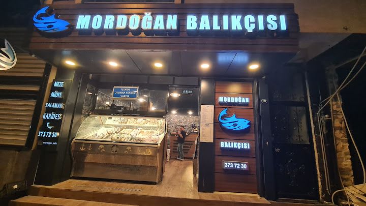 Mordoğan balıkçısı