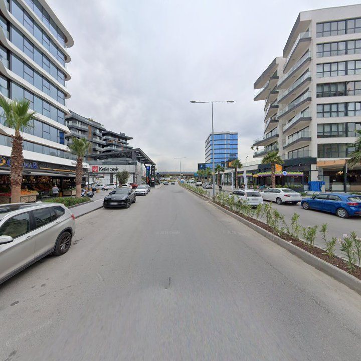 Fotoğraf 13