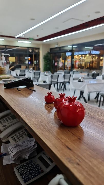 Narova döner kebap salonu