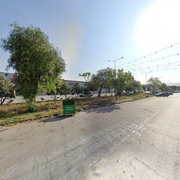 Fotoğraf 12