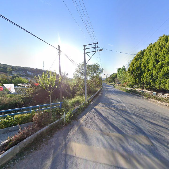 Fotoğraf 12