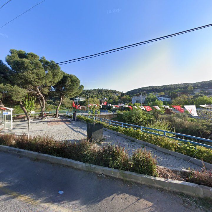 Fotoğraf 11