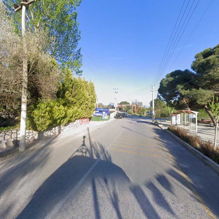 Fotoğraf 10