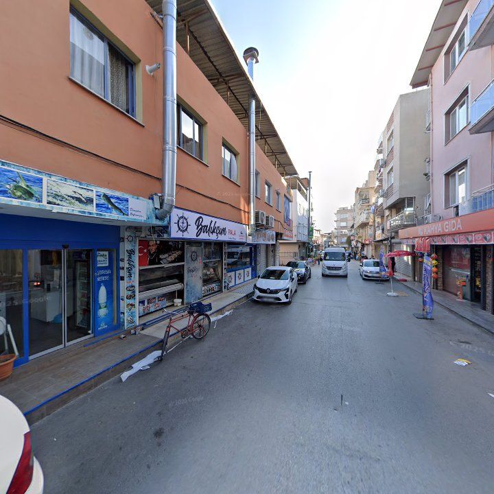 Fotoğraf 10