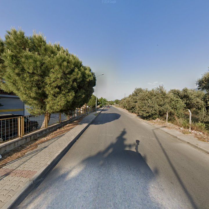 Fotoğraf 6